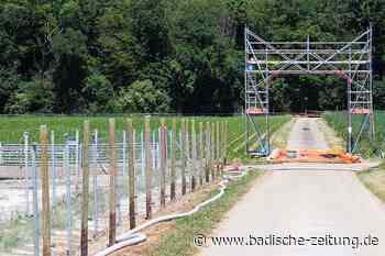 Schweinepest im Kreis Emmendingen: Aufräumarbeiten sind abgeschlossen - Forchheim - badische-zeitung.de