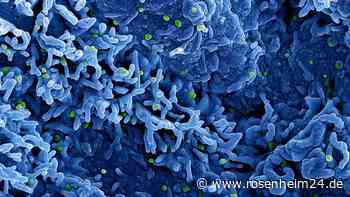 Neutrale Namen für Untergruppen des Affenpocken-Virus