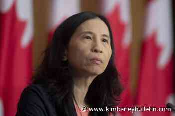 Canadian wastewater surveillance expanding to new public health threats: Tam - Kimberley Daily Bulletin - Kimberley Bulletin