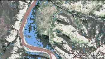 Scientists track invasive plants from space