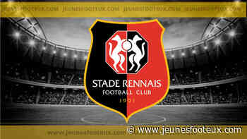 Rennes - Mercato : après Kalimuendo, un deal à 11M€ se prépare au Stade Rennais ! - Jeunesfooteux