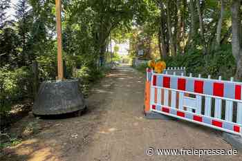 Nach Ortstermin mit Bürgermeister: Stadt Reichenbach sperrt Schleichweg - freiepresse.de