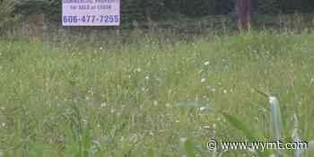 One entrepreneur’s mission for Magoffin County - WYMT