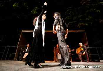 Planté en 1713, l’orme de Gorbio partage ses souvenirs: "Je suis tout feu tout… flamenco!"