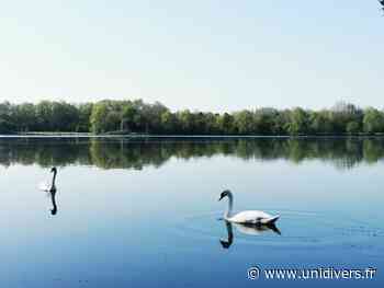 Balade guidée “la chaîne des lacs” Château de Flers Villeneuve-d'Ascq - Unidivers