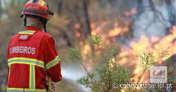 Cinco dias e sete mil hectares queimados: o balanço de um fogo que ameaça habitações - CNN Portugal