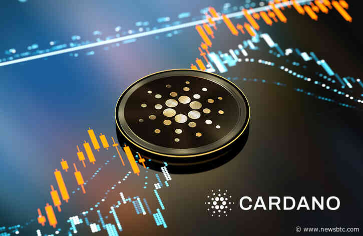 TA- Price Of Cardano Bounces From Support, Gears For A Bullish Run