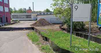 Naturschutz Eidechsen verzögern Aldi-Neubau in Steinheim - Ludwigsburger Kreiszeitung