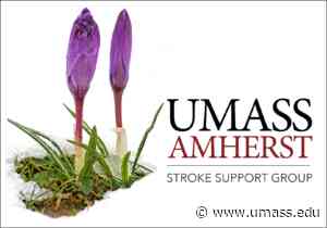 UMass Amherst Stroke Support Group Hosts Community Event to Raise Stroke and Aphasia Awareness - UMass News and Media Relations