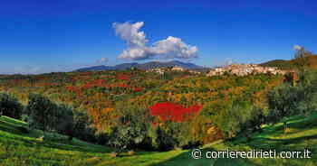 Rieti, l'estate si festeggia con le fettuccine ai funghi porcini - Corriere di Rieti