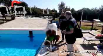 Controlli del Nas, chiusa una piscina in provincia di Rieti perché non rispetta i criteri igienico sanitari - ilmessaggero.it