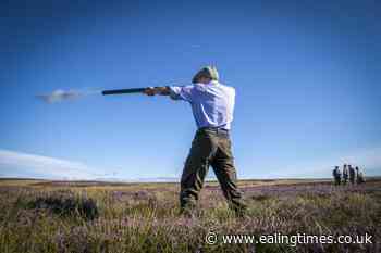 Scottish rural economy 'back in business' as grouse shooting season begins - Ealing Times