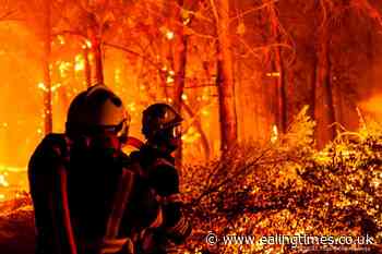 European firefighters join battle to stop French wildfires - Ealing Times