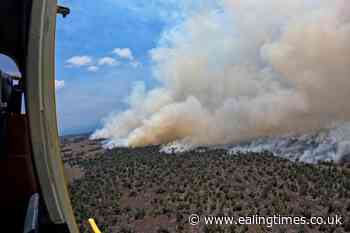 Large wildfire burning amid drought on Hawaii's Big Island - Ealing Times