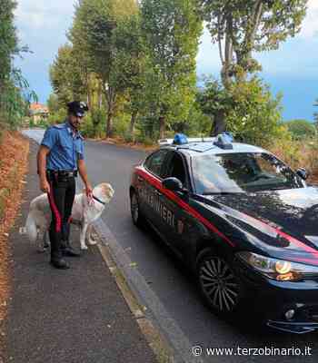 Cagnolone si allontana 2 km da casa, recuperato dai Carabinieri di Bracciano • Terzo Binario News - TerzoBinario.it