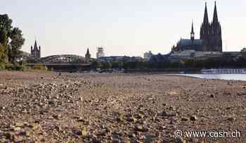 Klimawandel - Rhein, Rhone, Donau und Po: Europas Flüsse trocknen aus