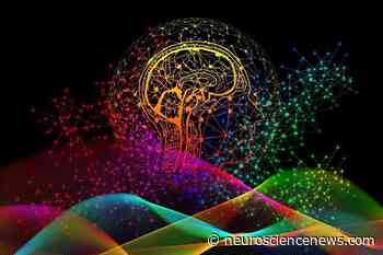 A New Theory in Physics Claims to Solve the Mystery of Consciousness - Neuroscience News