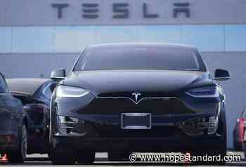 Luxury goods tax on super-rich could hit electric vehicles: expert - Hope Standard