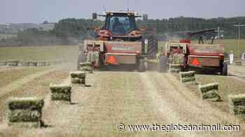 Globe editorial: By asking farmers to cut emissions, is Ottawa biting the hand that feeds us? - The Globe and Mail