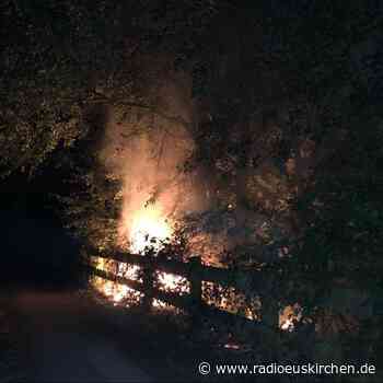 Jugendliche verursachen Uferbrand am Echtzer See - radioeuskirchen.de