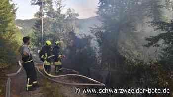 Waldbrand in Aistaig - Feuerwehr rückt zum Großeinsatz aus - Schwarzwälder Bote