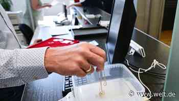 Deshalb boomen jetzt Pfandleihhäuser