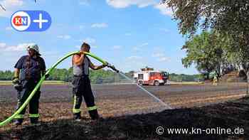 Fünf Feuerwehren bekämpfen brennendes Stoppelfeld bei Föhrden-Barl