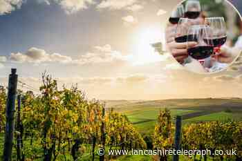 Majestic is looking for a new 'vintern' to taste wine at a Portuguese vineyard