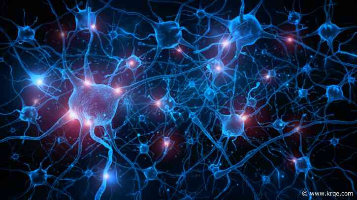 Cognitive biases and brain biology help explain why facts don’t change minds