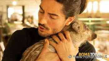 LETTORI - Vogliono uccidere gli animali della Sfattoria degli Ultimi. Appello delle associazioni animaliste al questore