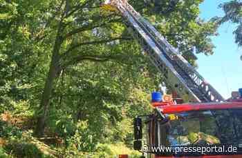 FW Sonsbeck: Baum auf Fahrbahn in Labbeck