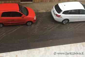 Consistenti piogge previste a sera a Terlizzi. Salvo il Ferragosto - TerlizziViva