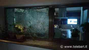 Assalto a picconate ad un'abitazione di Terlizzi. Ladri in fuga dopo l'arrivo delle Guardie Campestri - Telebari