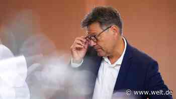 Kalte Pools, Heizungs-Check – So wenig Gas-Ersparnis bringen Habecks Pläne