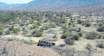 Lambayeque: Depredan bosque con total impunidad en el distrito de Olmos - Diario Correo