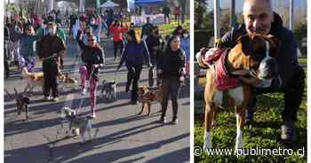 Juvenal Olmos encabezó corrida con mascotas en La Reina: “Son el alma de nuestros hogares” - Publimetro