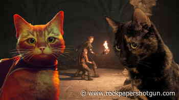 I think my cats hate video games, and I'm absolutely devastated - Rock Paper Shotgun