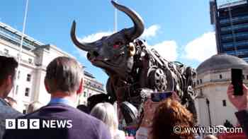 Commonwealth Games: Bull creator delighted by scrapheap reprieve - BBC