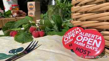 10th edition of Alberta Open Farm Days starts today