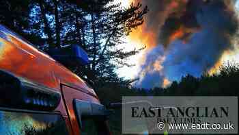 Brandon: Firefighters remain at scene of huge field fire - East Anglian Daily Times