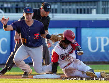 Brandon Kaminer part of Cutters' solid mound rotation - Williamsport Sun-Gazette