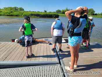 Métis youth learn about environment in day camps - The Brandon Sun