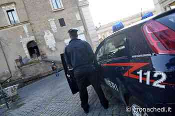 Crotone: scoperta piantagione di canapa, 3 arresti - Cronachedi.it - Il quotidiano online di informazione indipendente