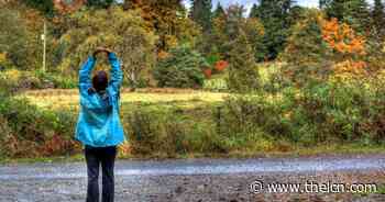 Master Gardener: 'GardenFit' combines tours, fitness tips | Lifestyles | thelcn.com - The Livingston County News