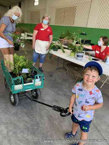 Union County Fairgrounds To Host Master Gardener Plant Sale August 13 - Union County Daily Digital