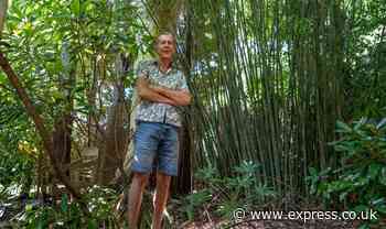 Man's incredible homegrown tropical jungle at risk as hosepipe ban looms - Express
