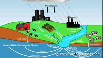 MASTER GARDENER — Rain gardens are repository for storm water runoff - Orange Leader - Orange Leader