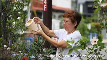 From Our Backyard: This seasoned home gardener grows her vegetables in repurposed plastic cups - Channel NewsAsia