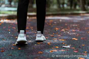 Manitoba government spending nearly $1 million on trail development - CTV News Winnipeg