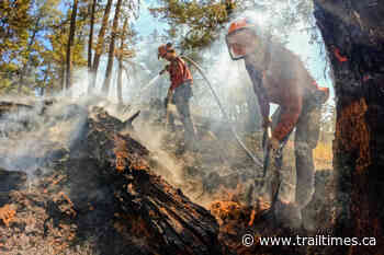 45 new wildfires spark after lightning hits dry areas of B.C. - Trail Times